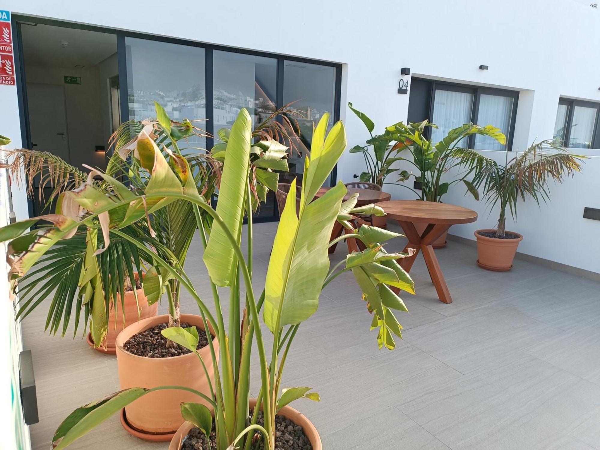 Hotel Apartamentos Hamus Conil De La Frontera Ngoại thất bức ảnh